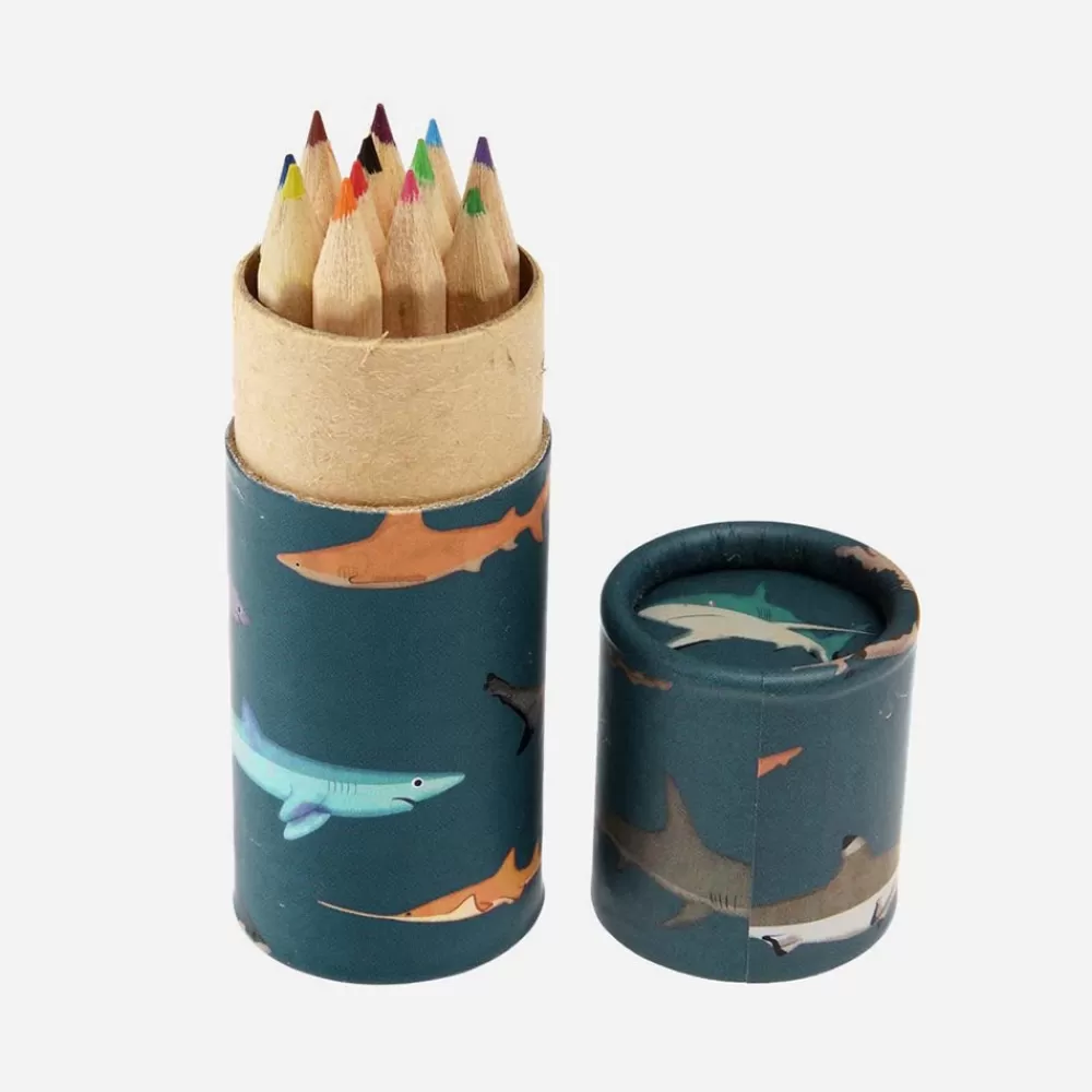 Rex London 1 Boite De 12 Crayons Animaux De La Mer> Coloriages