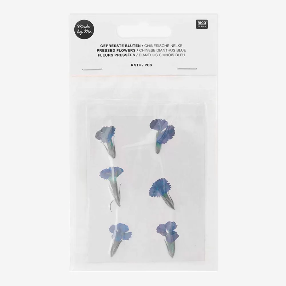 Rico Design Fleurs Sechees Bleues : Dianthus Chinois