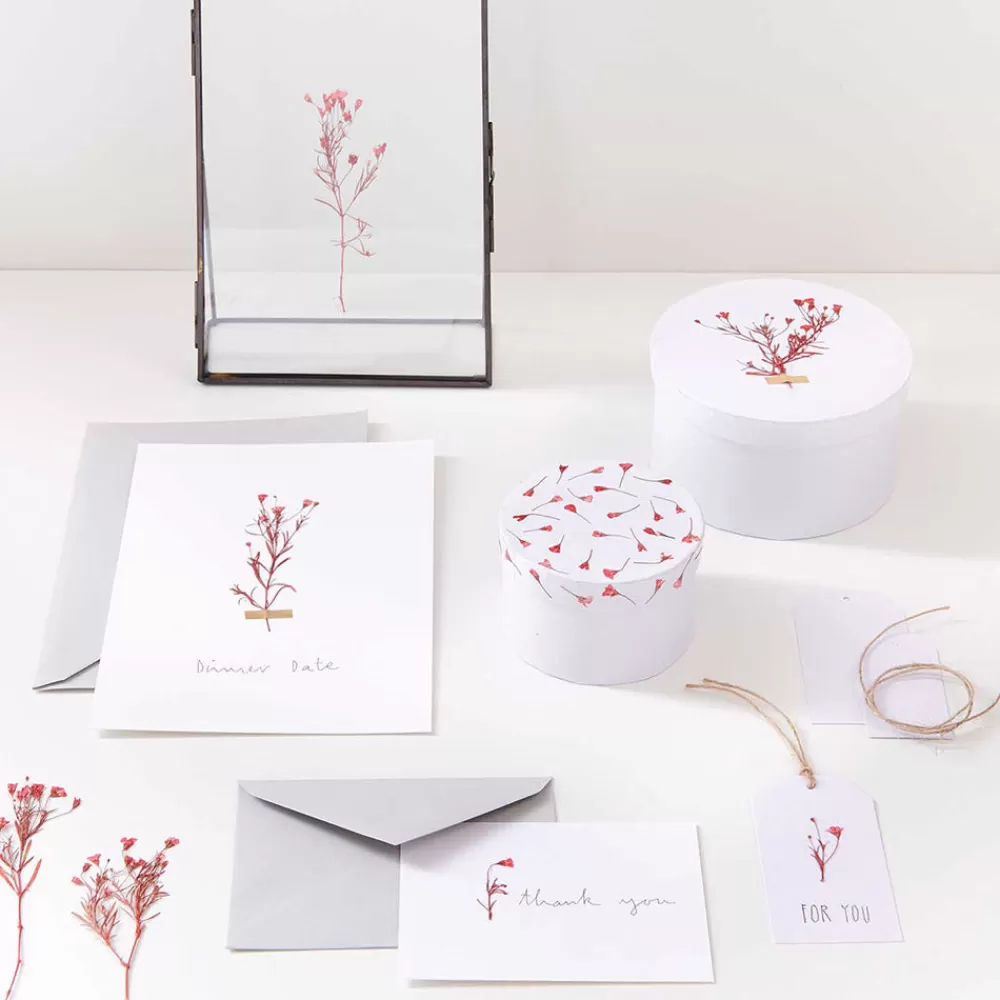 Rico Design Fleurs Sechees Gypsophile Rouge